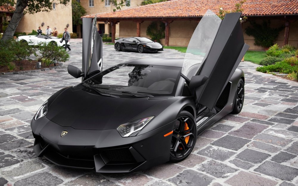 Lamborghini Aventador lp700-4 Black