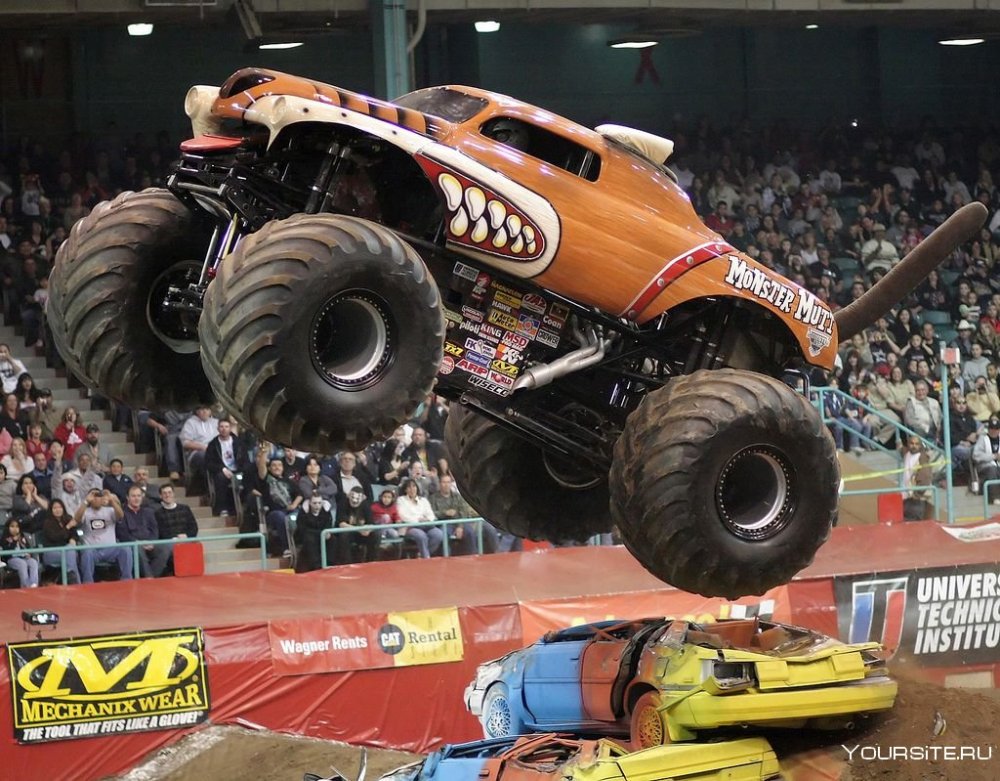 Монстр трак Monster Mutt