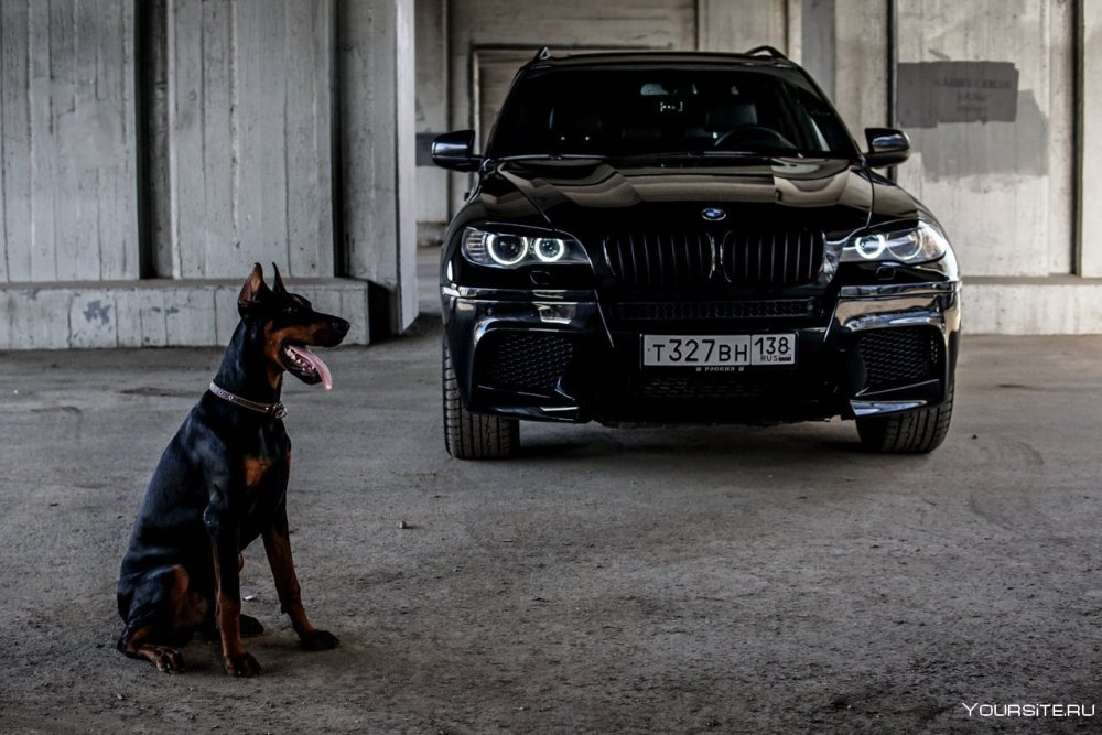 BMW x5 m f85 z-Performance