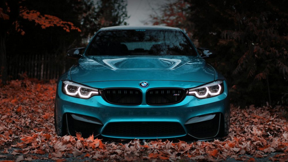 BMW f30 осень