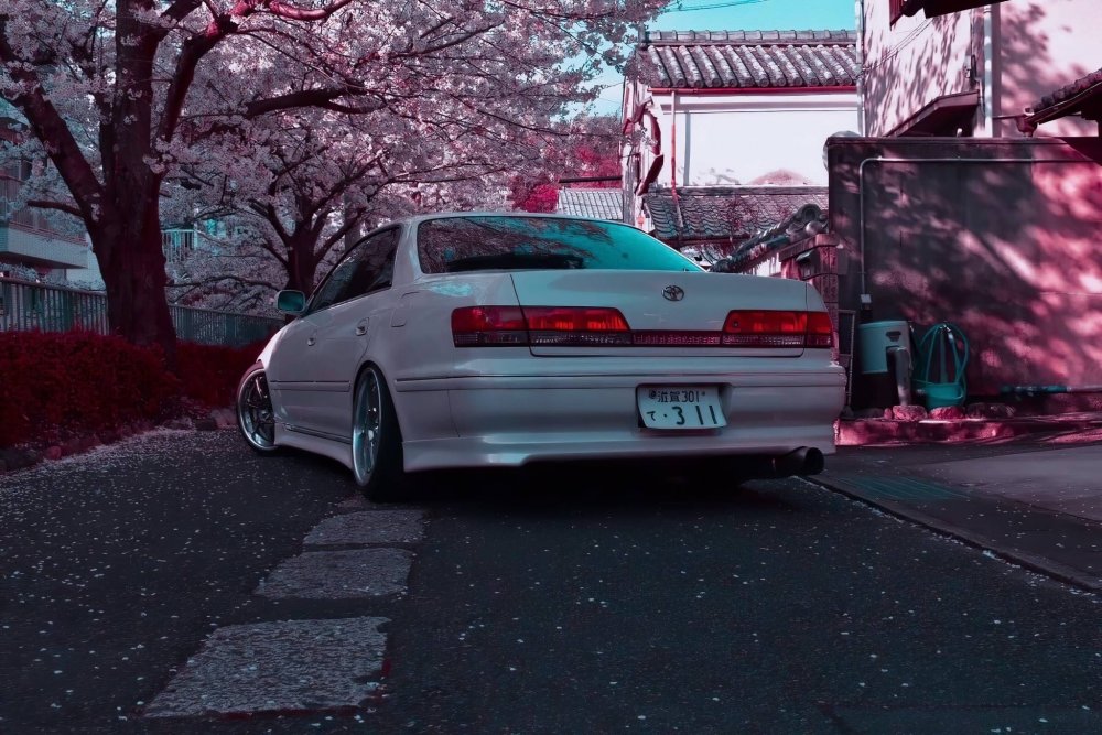 JDM Sakura