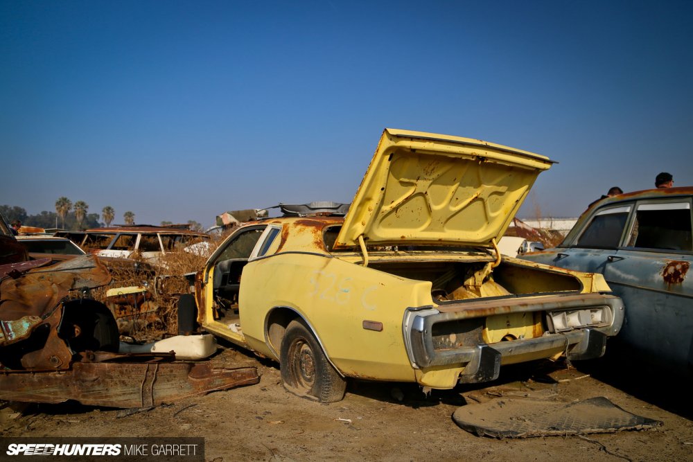 Авторазборка Junkyard