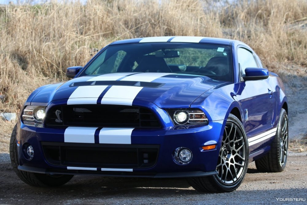 Форд Мустанг Шелби gt 500 2008