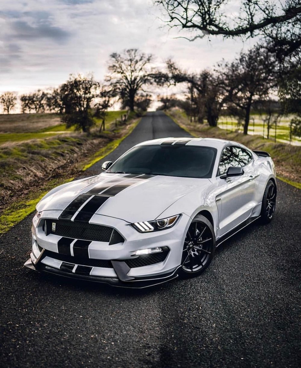 Ford Mustang Shelby 2014