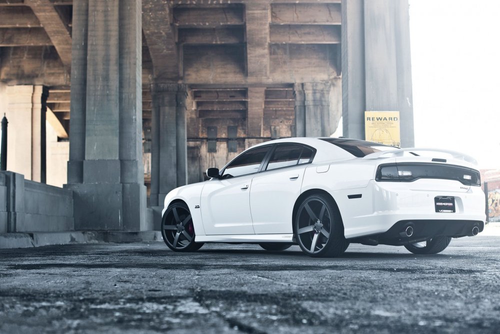 Dodge Charger srt8 белый