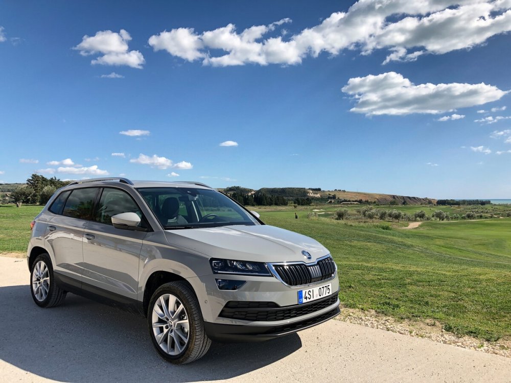 Skoda Karoq серый