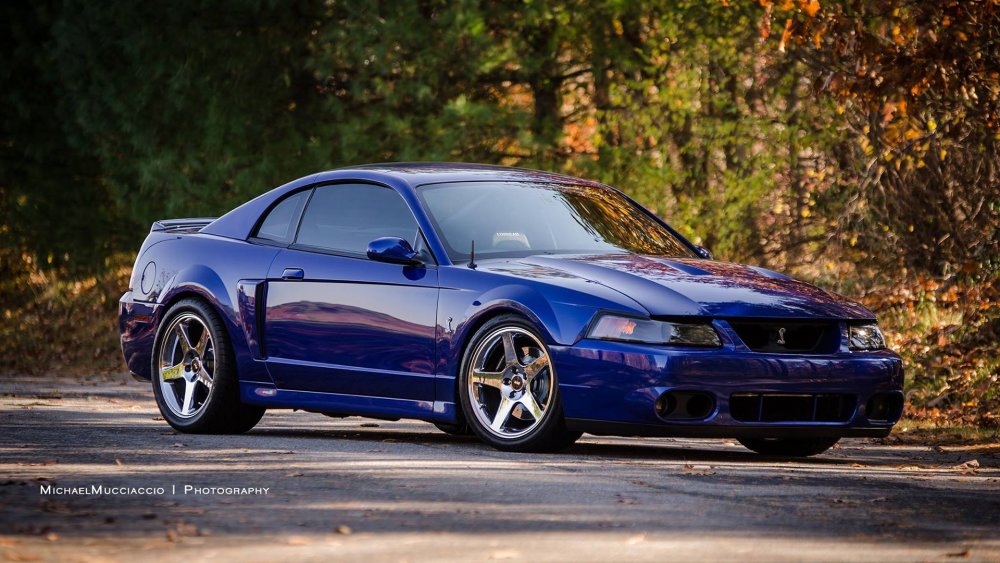 1995 Mustang SVT Cobra r