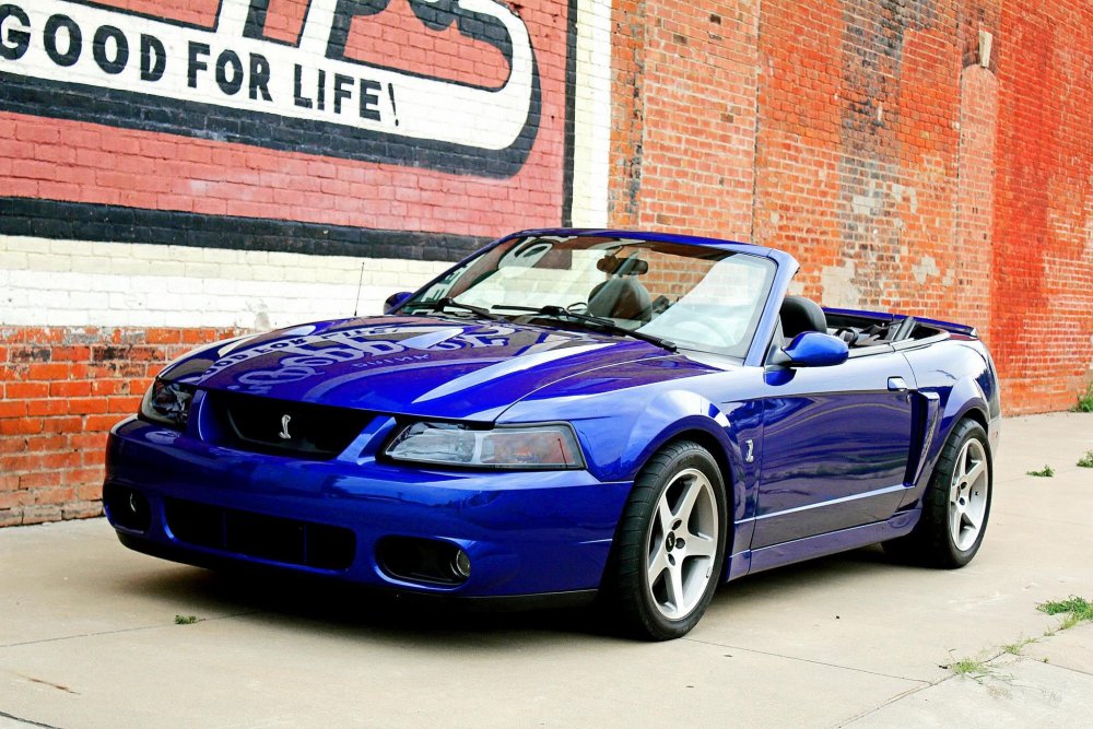 2004 Mustang SVT