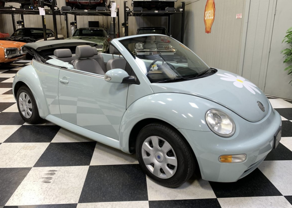 Car Beetle Top down