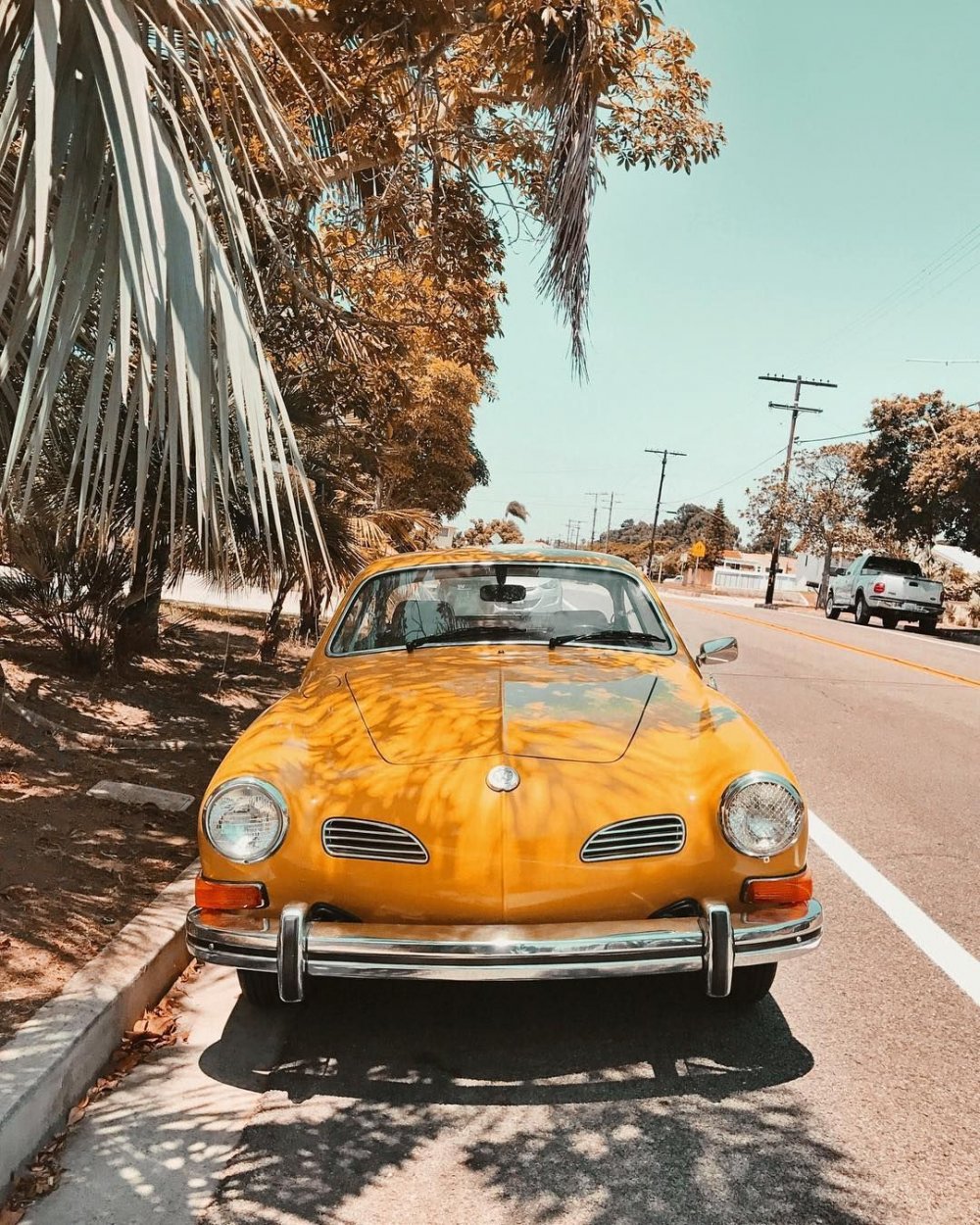 Jaguar xk120