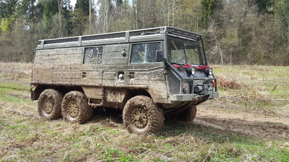 Pinzgauer II Light Utility vehicle