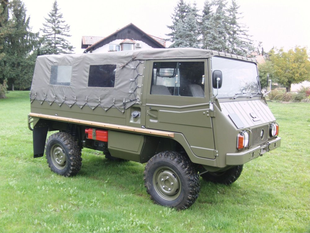 Pinzgauer 4x4 2020