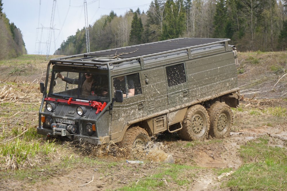 Пинцгауэр 710м