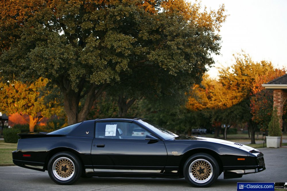 Pontiac Turbo Trans am 1989