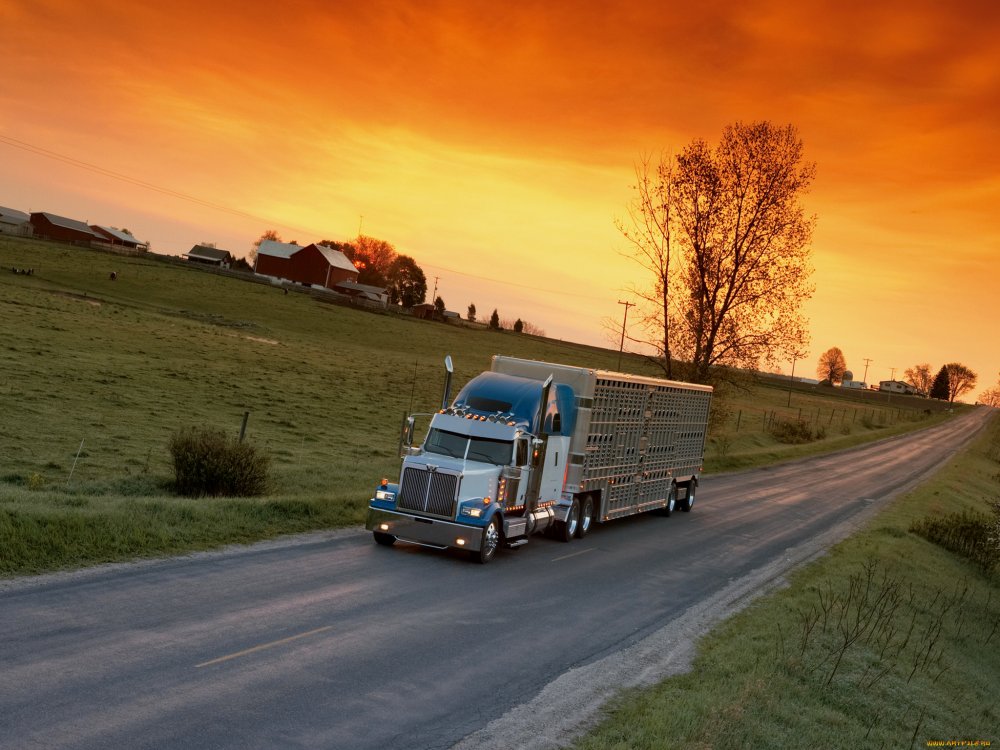 Volvo fh16 зима