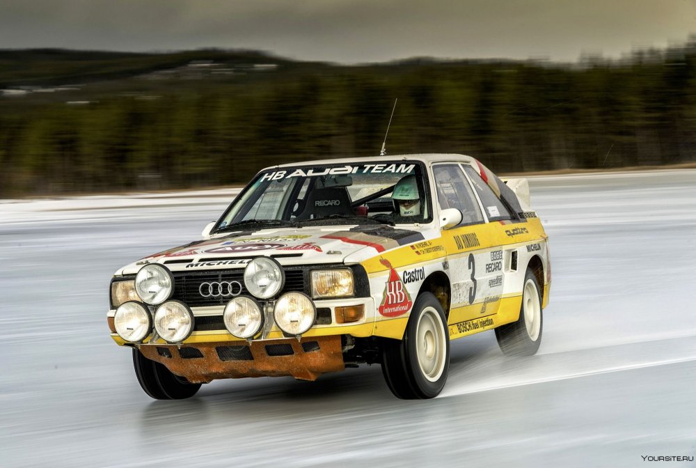 Audi quattro 1984 Rally