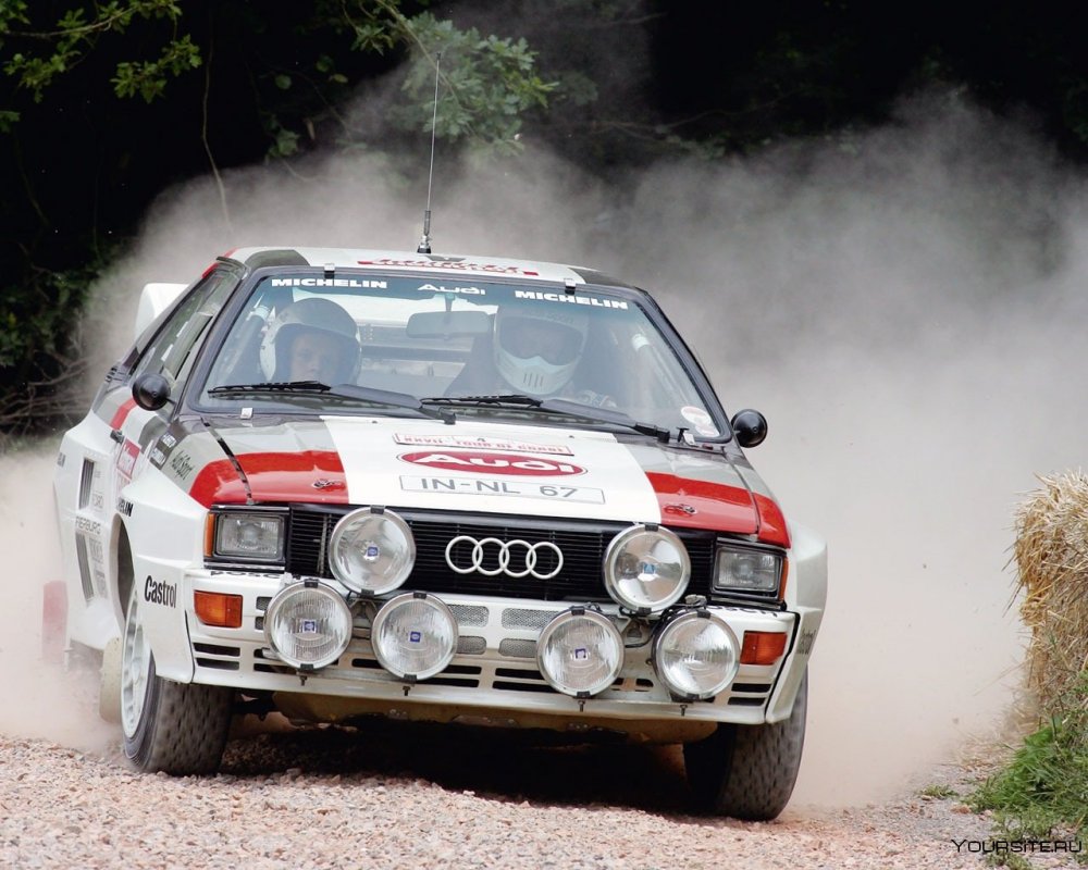 Audi 80 quattro Rally