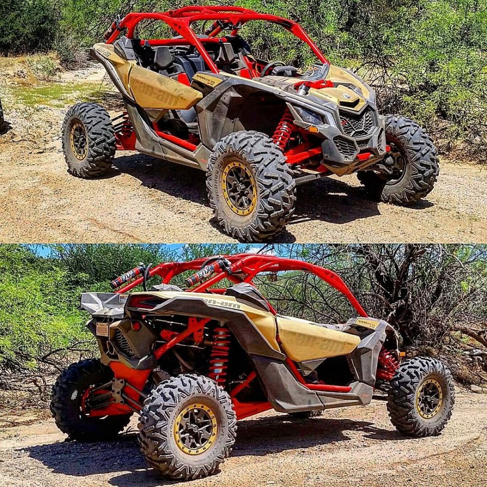 Багги Sport atv