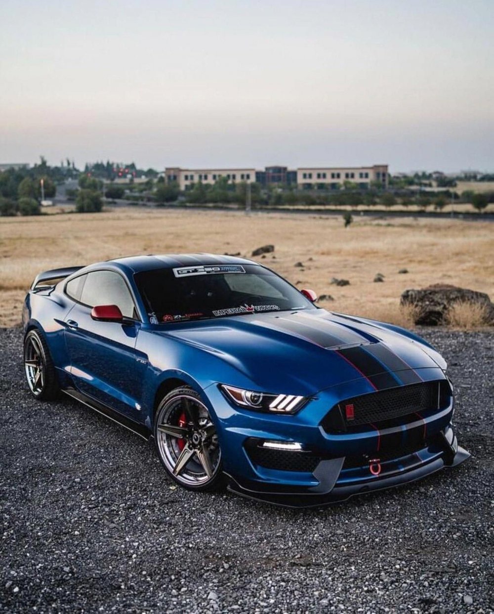 Ford Mustang Shelby gt500 2010