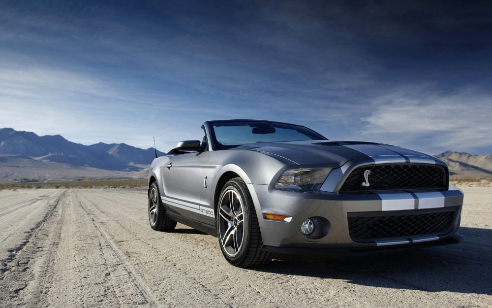 2008 Ford Shelby gt