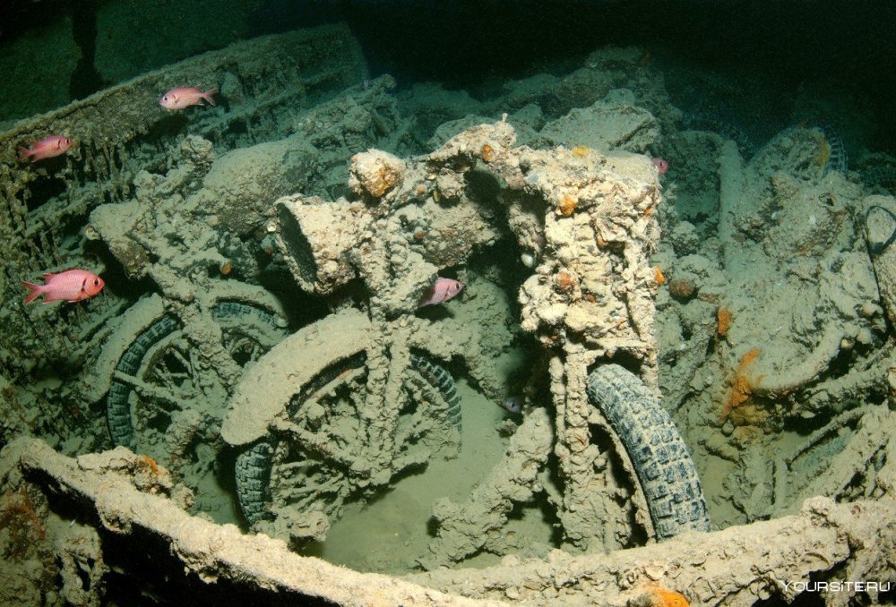 Корабль SS Thistlegorm, красное море