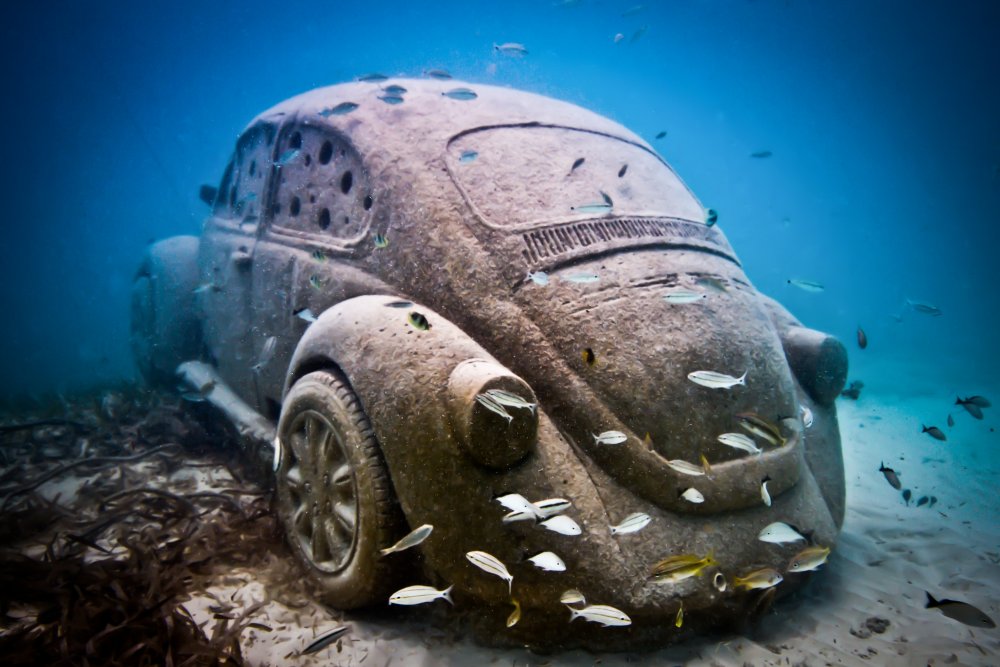 Volkswagen Beetle by Jason DECAIRES Taylor