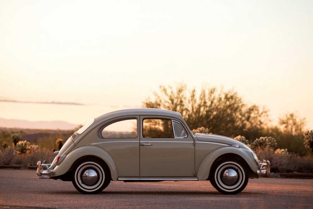 Volkswagen Beetle 1963 Rally