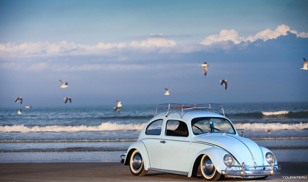 Volkswagen beetle