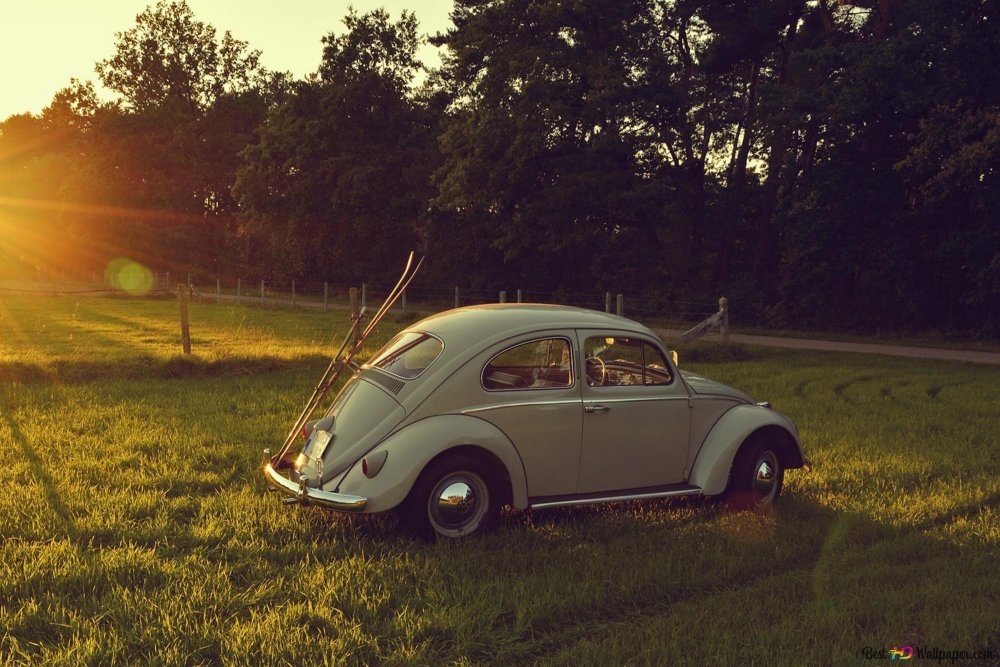 VW Beetle 1956