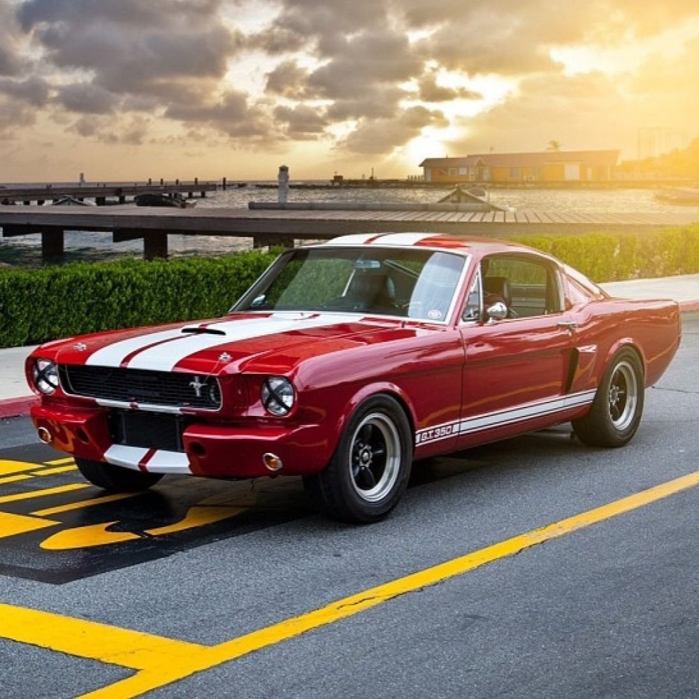 Ford Shelby gt350 2020