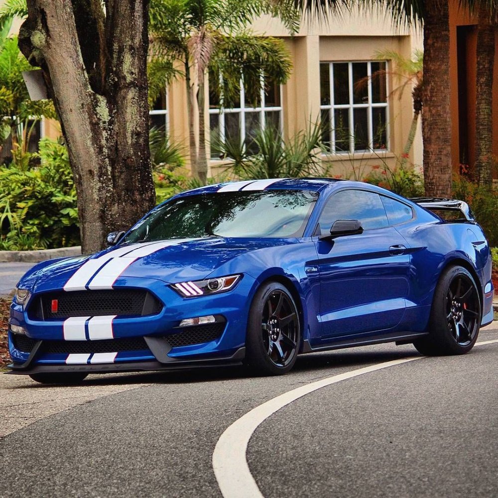 Ford Mustang Shelby gt500 сзади