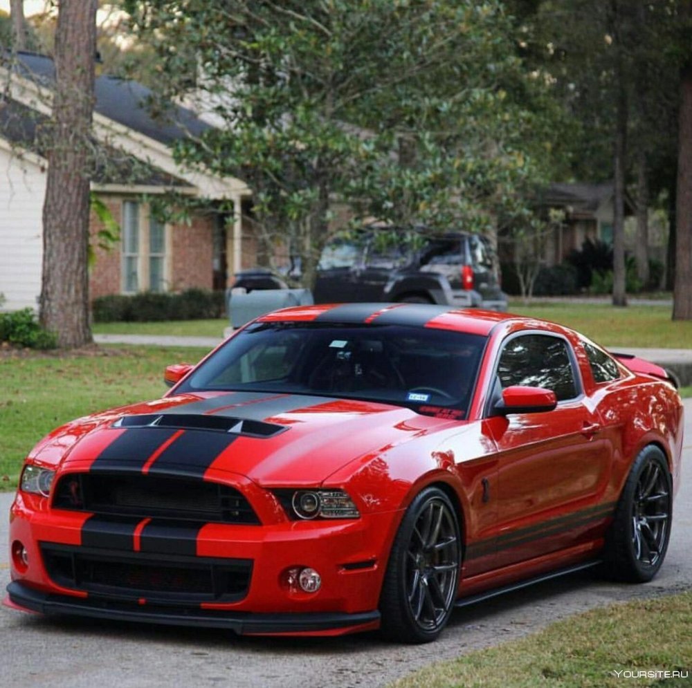 Ford Shelby gt500 super Snake