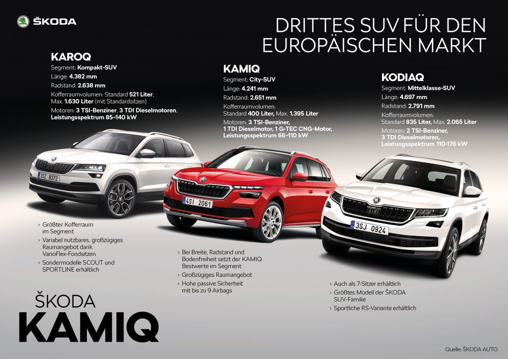 Vinyl for Skoda Kamiq