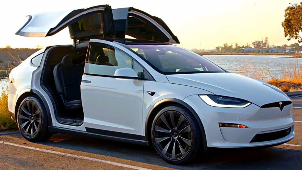 Tesla model x100