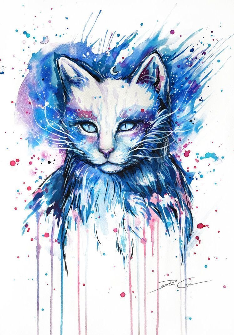 Кот рисунок