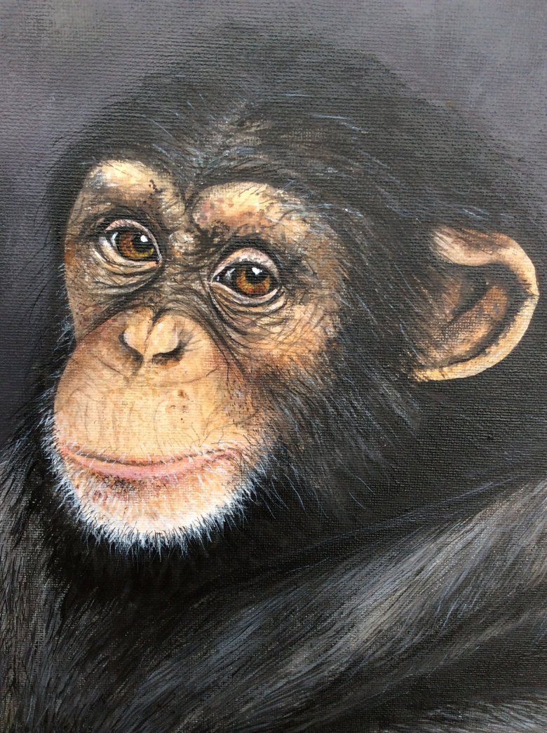 Художник Chimpanzee