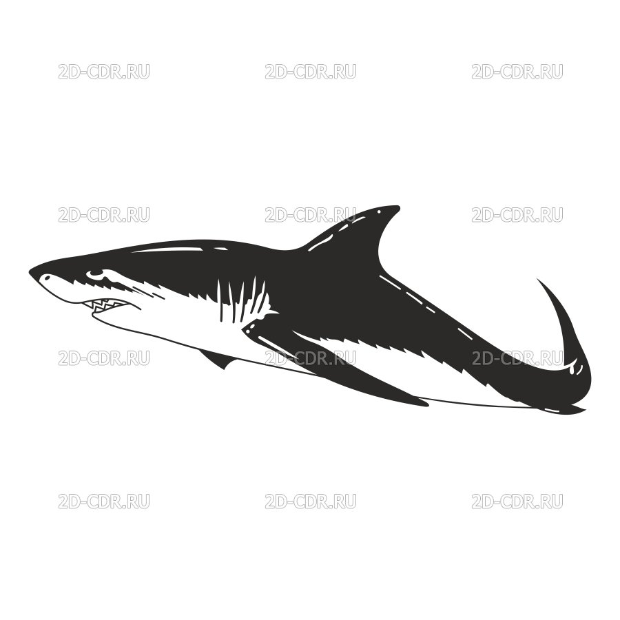 Акула иллюстрация акварель