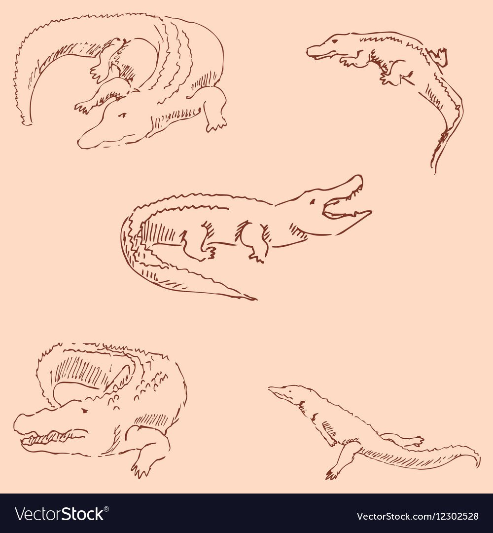Конструктивные рисунки крокодил
