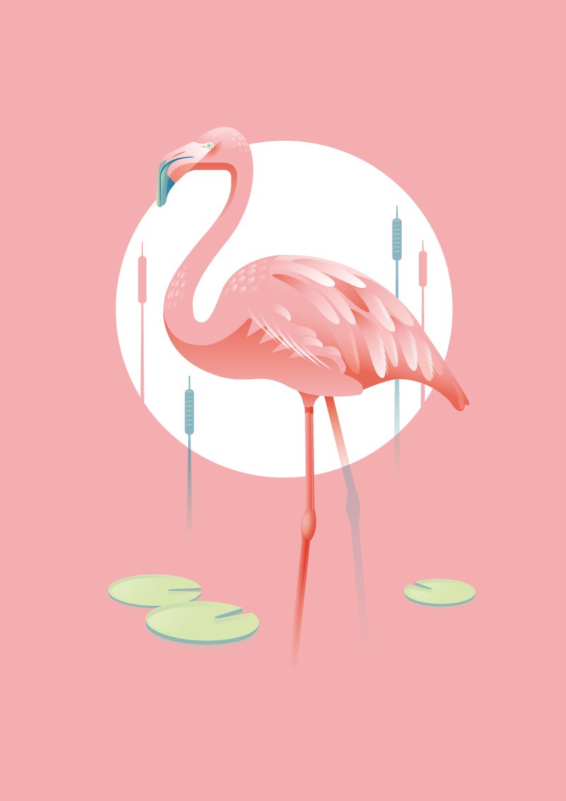 Стилизованные Фламинго