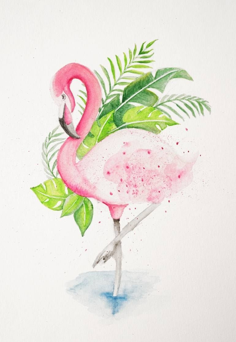 Картины с Фламинго для срисовки