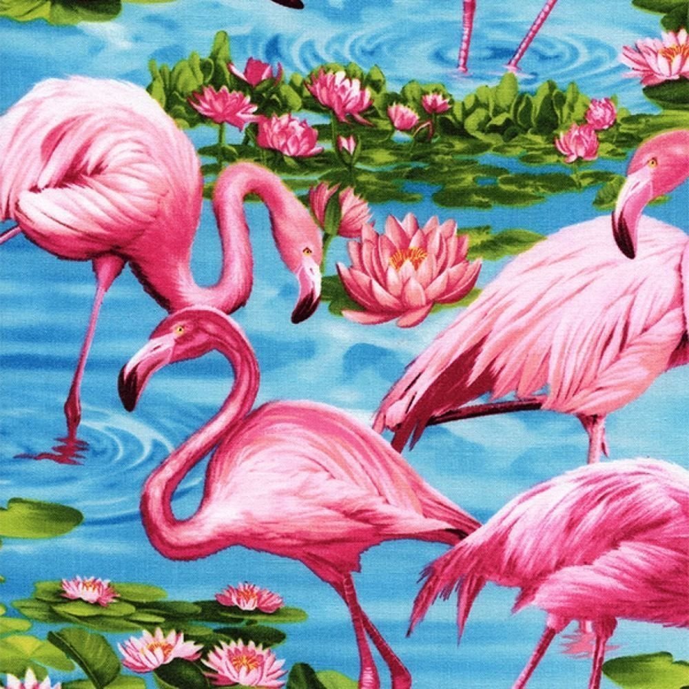 Разноцветные Фламинго