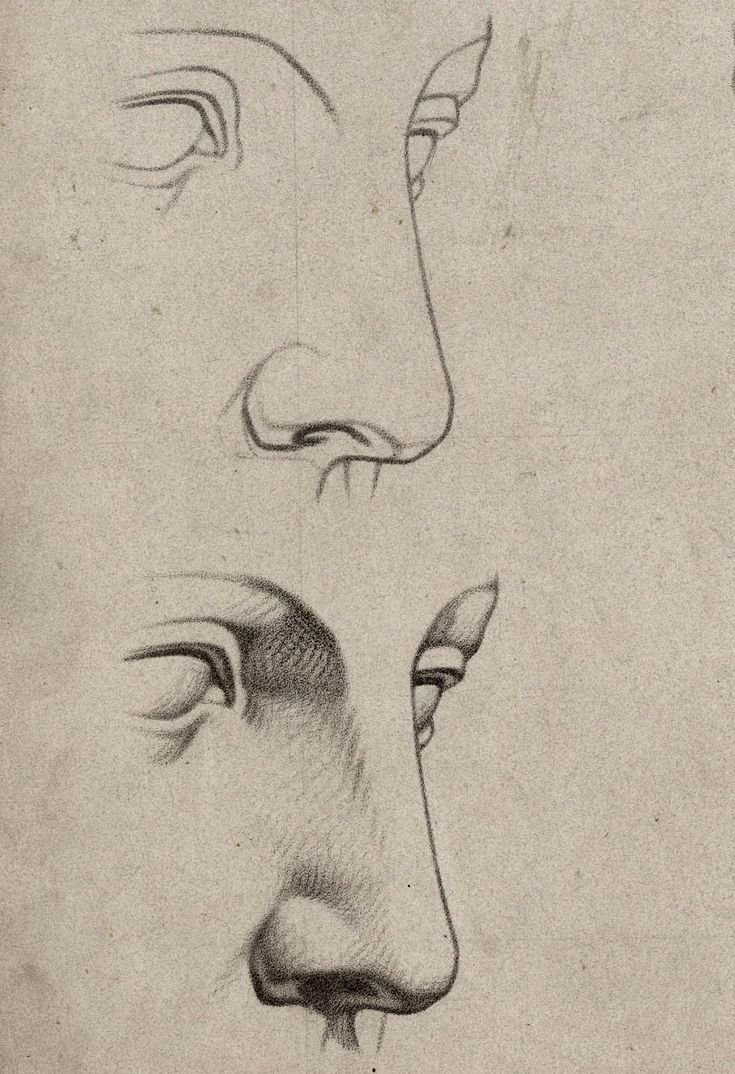 Уроки рисования носа