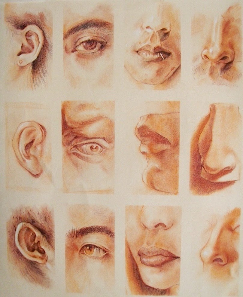 Рисование отдельных частей лица