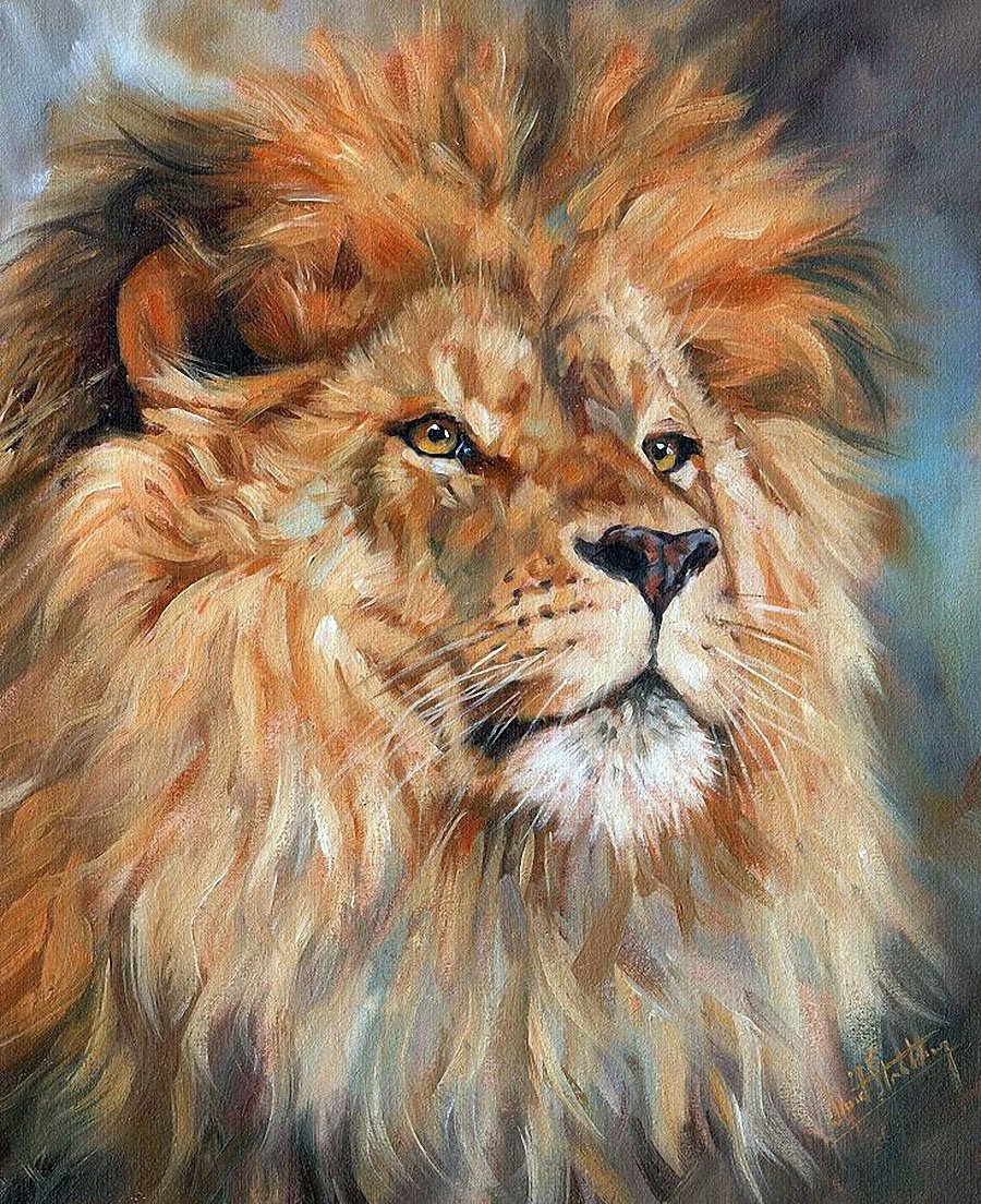 David Stribbling Lion
