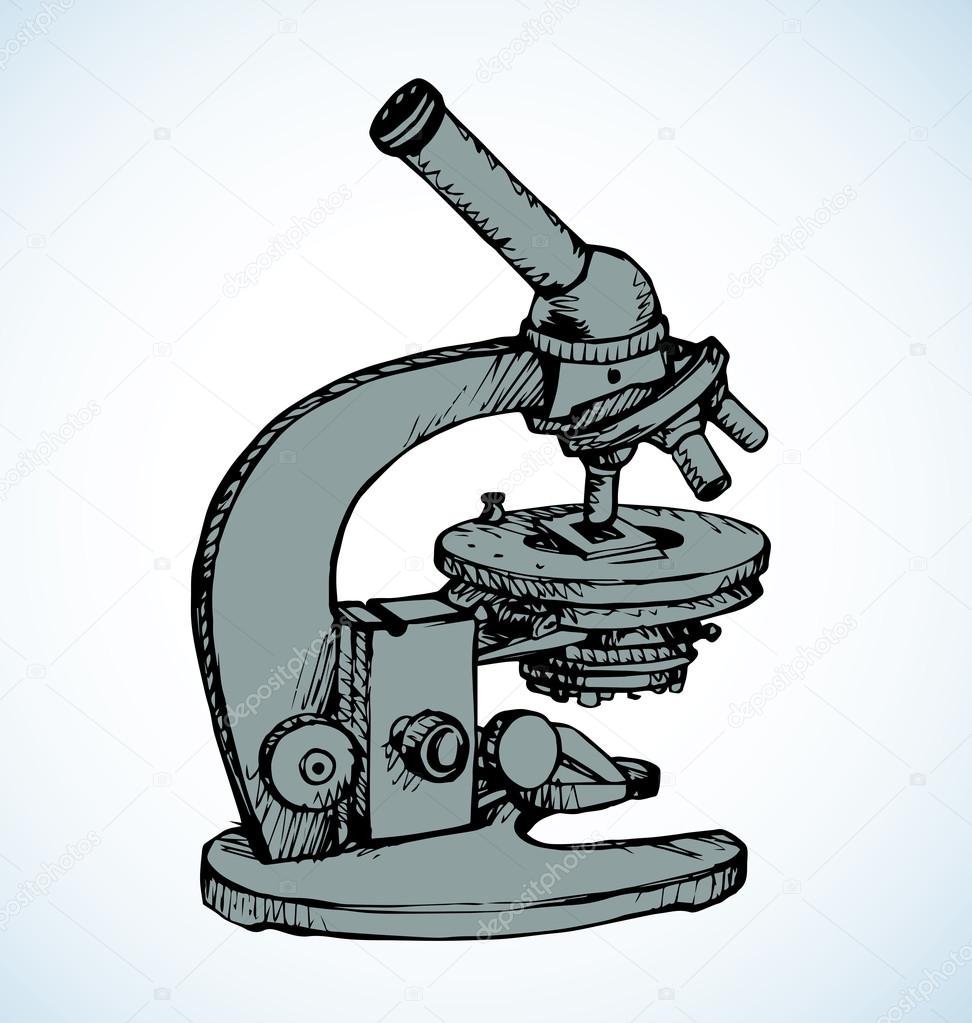 Рисунок лупы и микроскопа