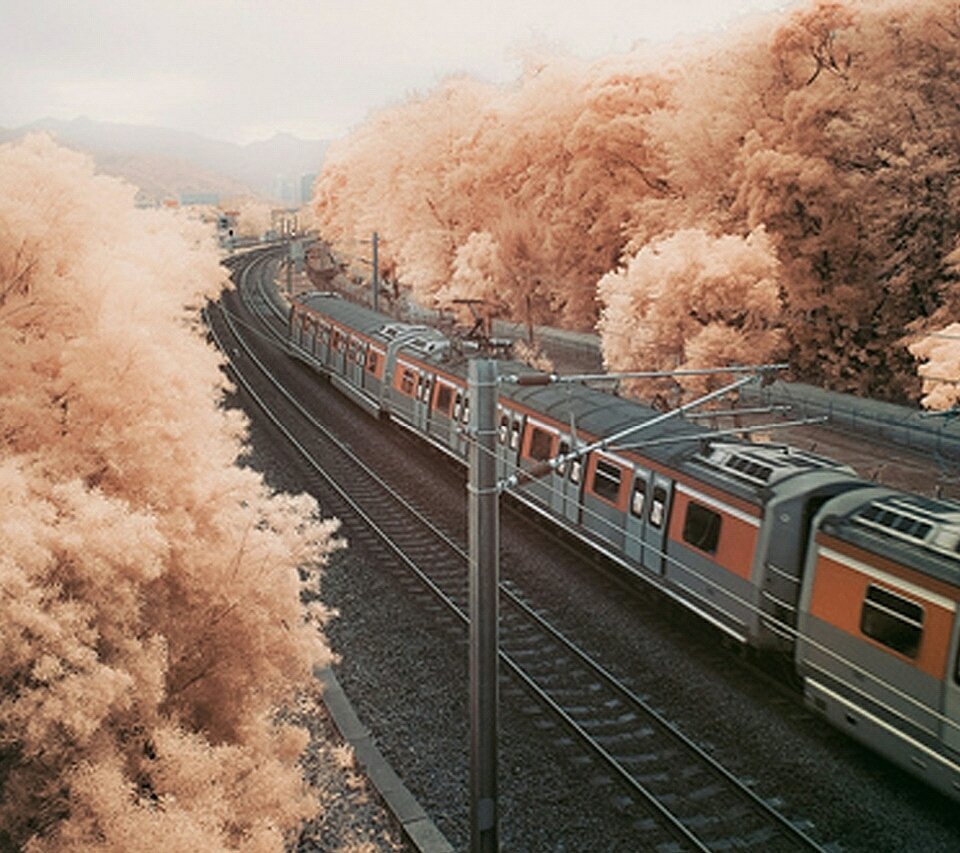 Эстетичный поезд