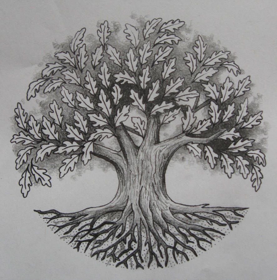 Сказочное дерево дуб