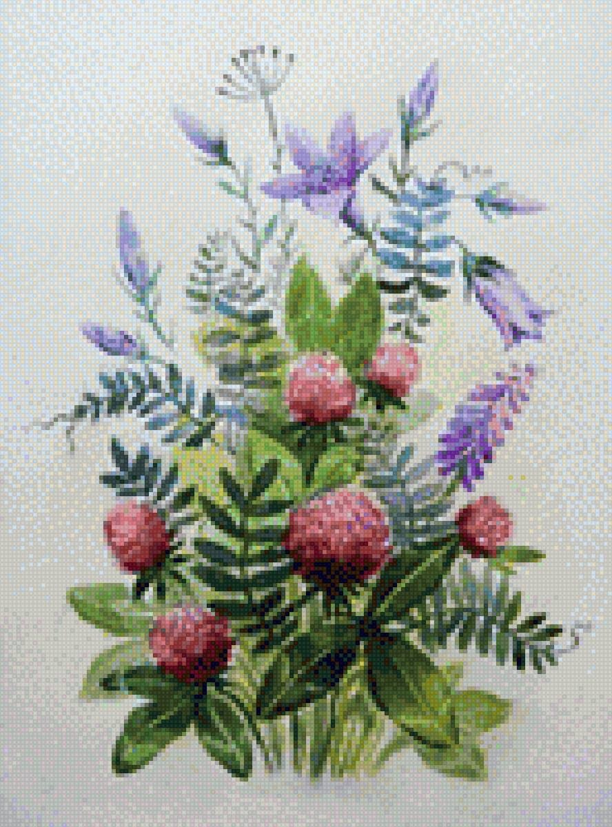 Ботаническая Акварельная живопись Клевер