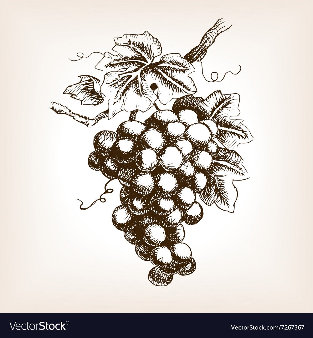Стилизованная гроздь винограда