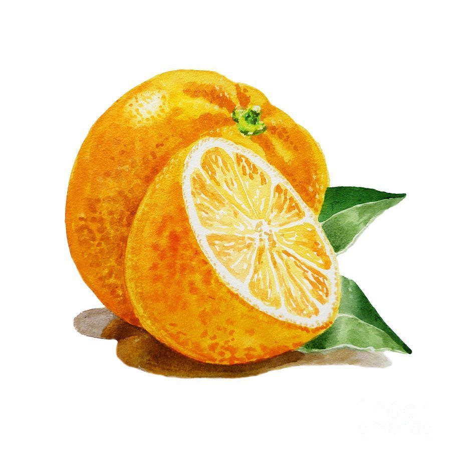 Схема для детей рисование апельсин